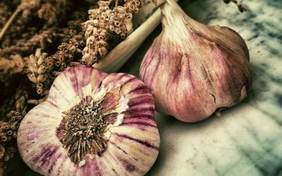 Growing Garlic Indoors. a guide.